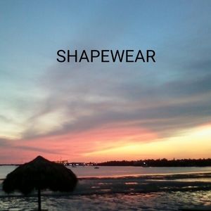 New & Vintage SHAPEWEAR